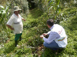 jornada_agronomo